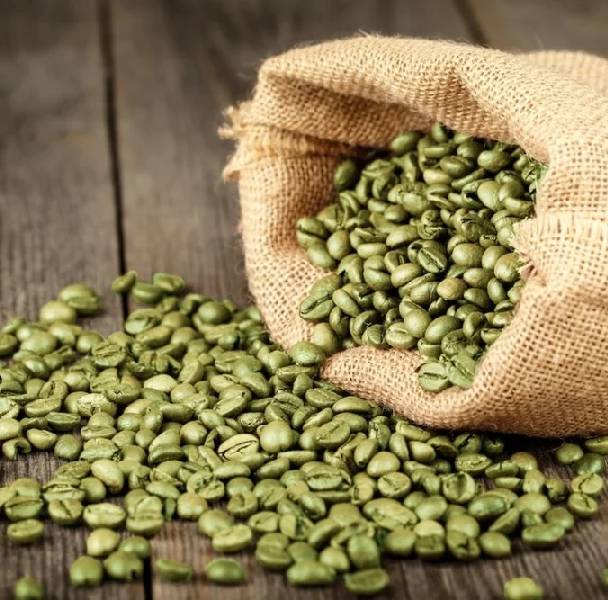 TBC Arabica Coffee Green Beans